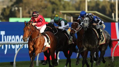 flemington race 7 results